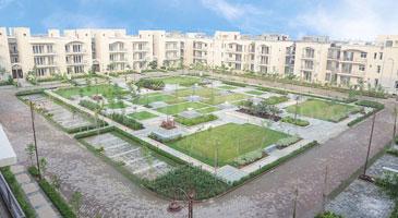 Residential Plot