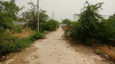 Residential Plot