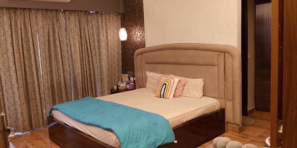 ACE Divino - Image 7