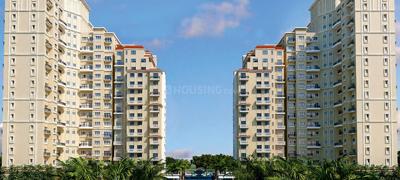 4 BHK Apartment