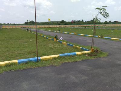 Residential Plot