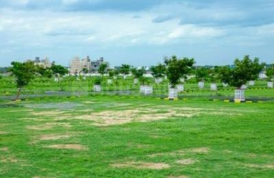 Residential Plot