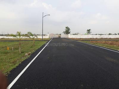 Residential Plot