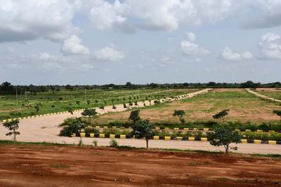 Residential Plot