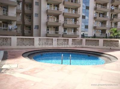 Gallery Cover Image of 930 Sq.ft 2 BHK Apartment for rent in Supertech Cape Town, Sector 74 for 14000
