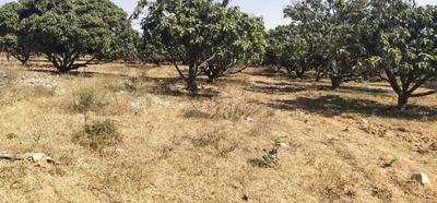 Gallery Cover Image of Sq.ft Residential Plot for buy in Electronic City for 30000000