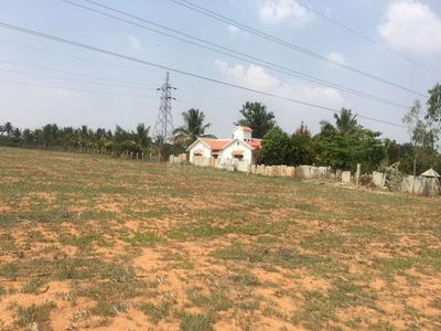 Residential Plot