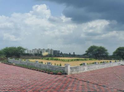Residential Plot