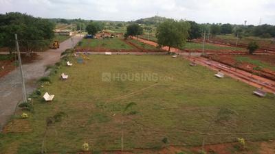 Residential Plot