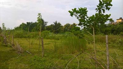 Residential Plot