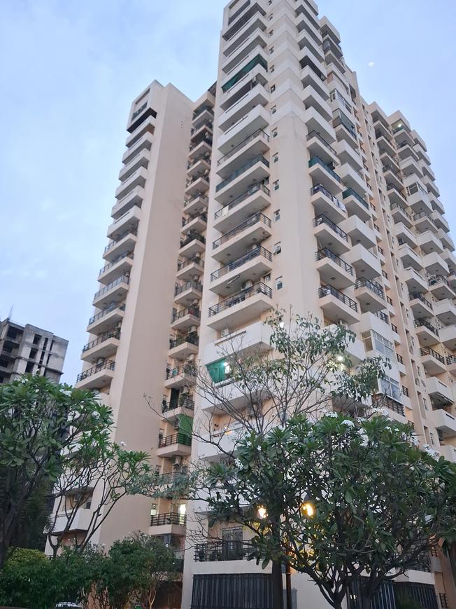 Exotica Fresco - Image 25