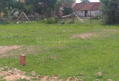 Gallery Cover Image of Sq.ft Residential Plot for buy in Veppampattu for 800000