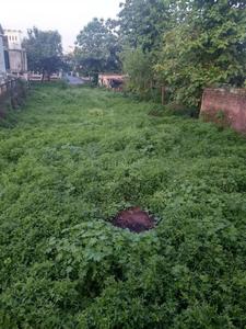 1908 Sq.ft Residential Plot for Sale in Ajabpur Kalan, Dehradun