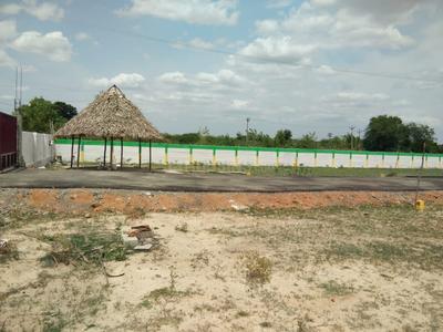Gallery Cover Image of Sq.ft Residential Plot for buy in Thirunindravur for 1175850