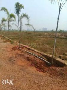 Gallery Cover Image of Sq.ft Residential Plot for buy in Patia for 2344000