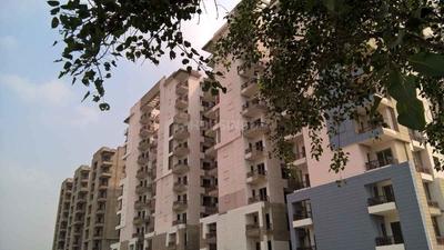 3 BHK Apartment