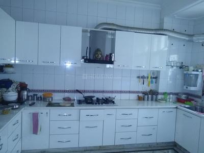 4 BHK Apartment