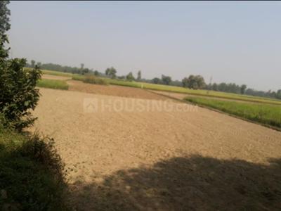 Residential Plot