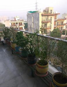 3 BHK इंडिपेंडेंट बिल्डर फ्लोर