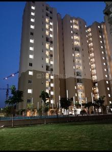 3 BHK Flat