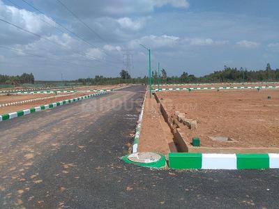 Residential Plot