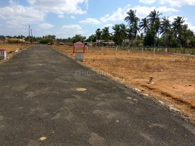 Residential Plot