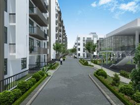 3 BHK Apartment