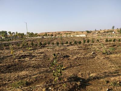 Gallery Cover Image of Sq.ft Residential Plot for buy in Trimbak for 1500000