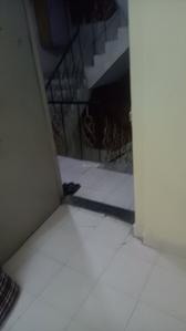 Balcony Image of Need Female Flatmate In Kharghar Sectoe 3 in Kharghar