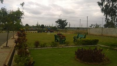 Residential Plot