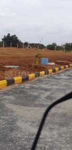 Residential Plot