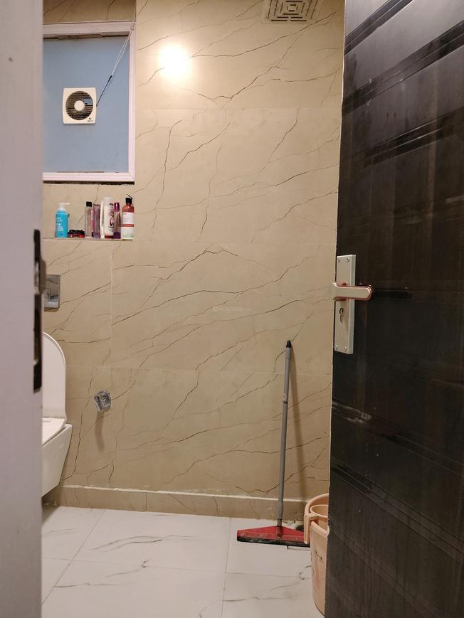 Sk Silver Oak 2 - Image 5