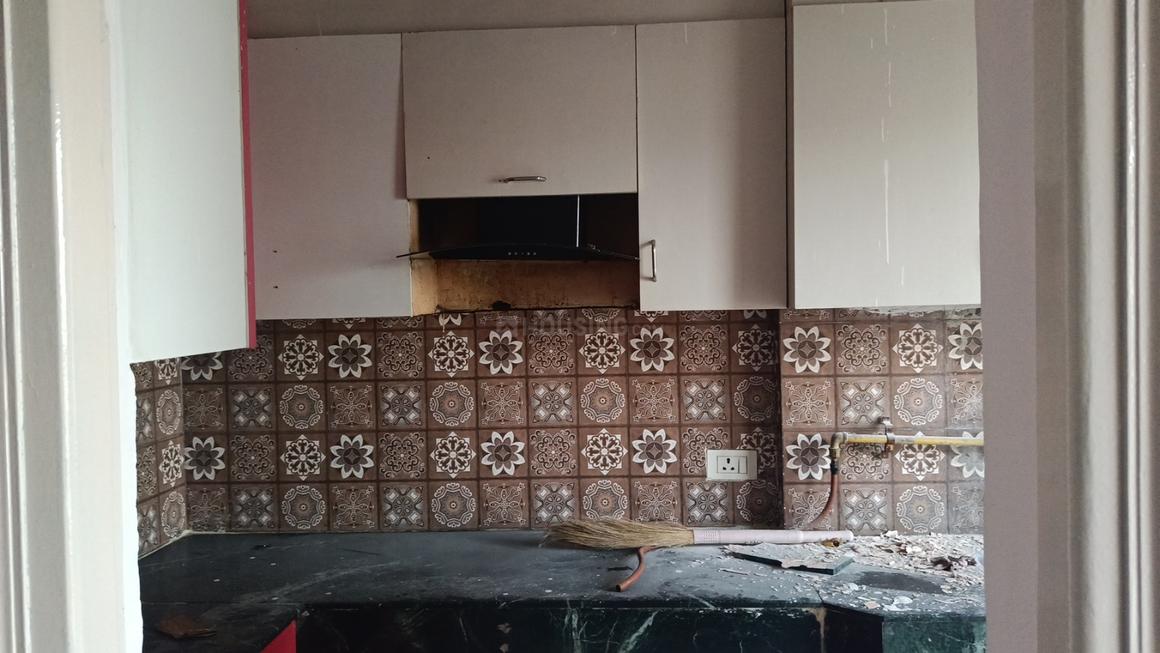 Paras Tierea - Image 20