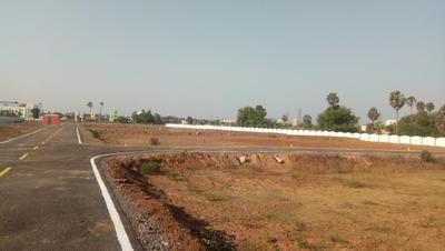 Residential Plot