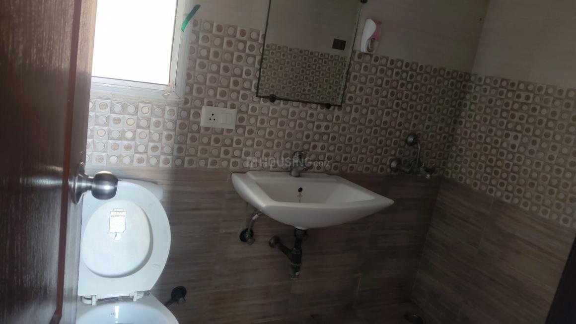 Exotica Dreamville - Image 14