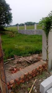 Gallery Cover Image of Sq.ft Residential Plot for buy in Rasapunja for 400000