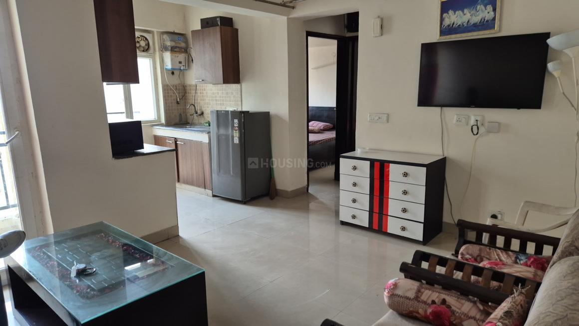 Sethi Max Royal - Image 7