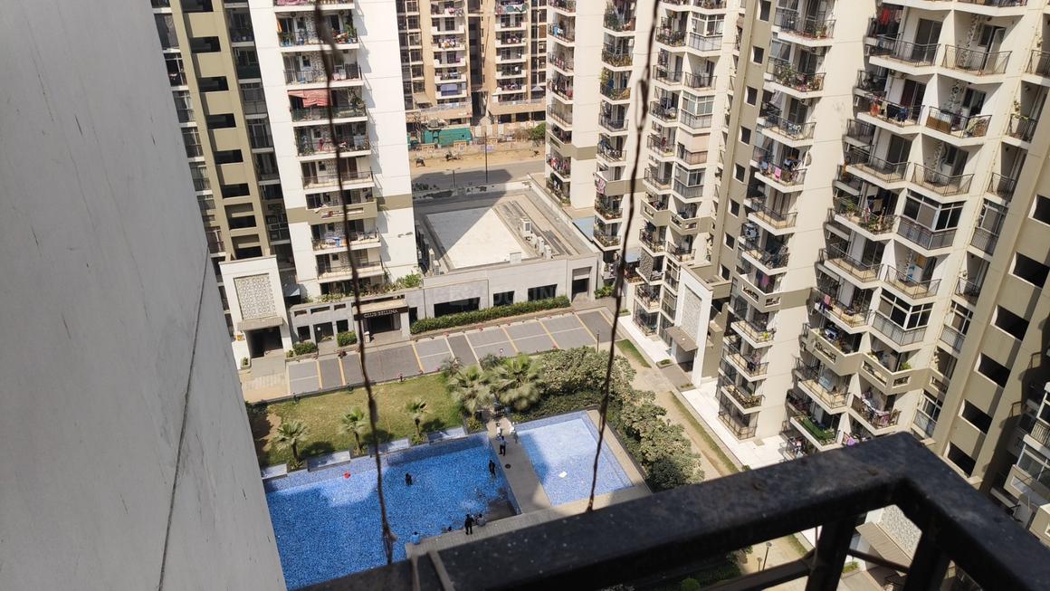 Gulshan Bellina - Image 20