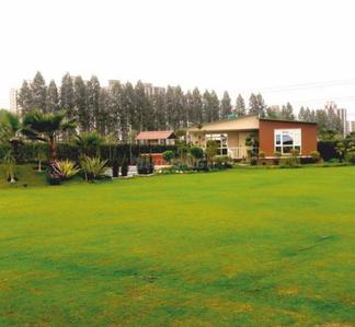 Residential Plot