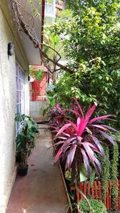 Balcony Image of Be Animal Hostel in Koramangala