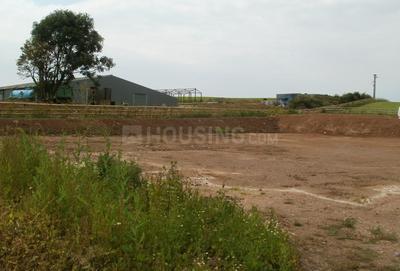 Residential Plot