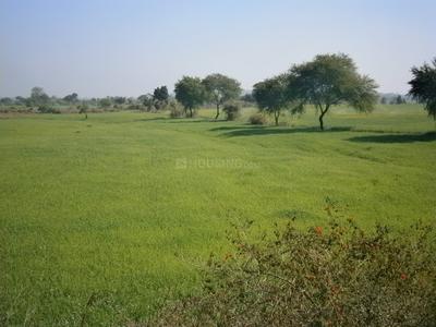 Gallery Cover Image of Sq.ft Residential Plot for buy in Sector 39 for 45431000