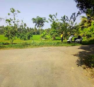 Residential Plot