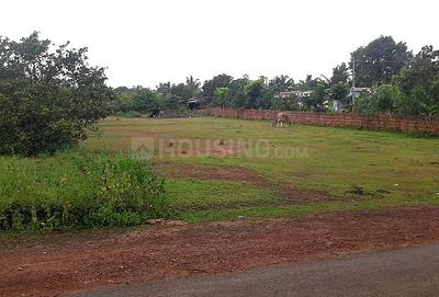 Gallery Cover Image of Sq.ft Residential Plot for buy in Wagholi for 640000000