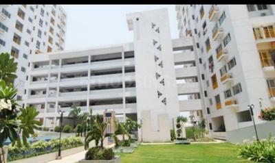 1 BHK Apartment