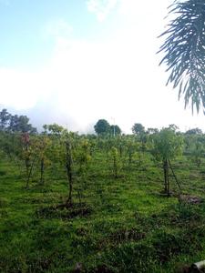Residential Plot