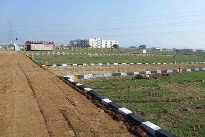 Residential Plot