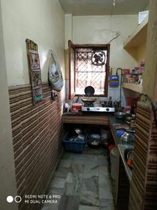 shalimar fish aquarium & pet shop