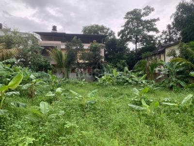 Gallery Cover Image of Sq.ft Residential Plot for buy in Vasai West for 17200000