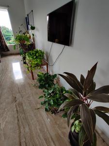 Hall Image of Amazing Grace in Mundhwa